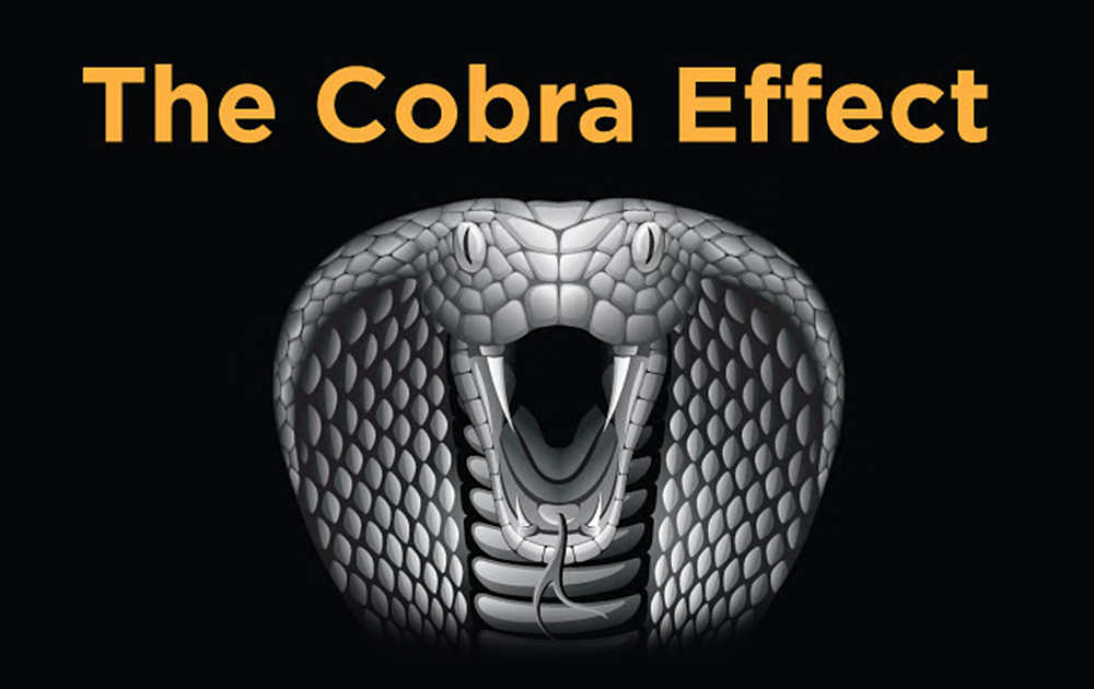 an image showing cobra effect - Telikoz