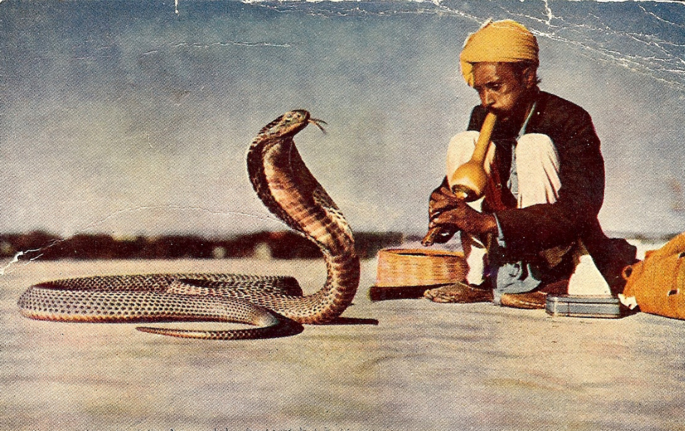 The Cobra Effect, an image showing a man influencing snakes with his flute - Telikoz